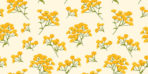 Tansy. A pattern of plants with yellow flowers. Botanical illustration on a beige background.
