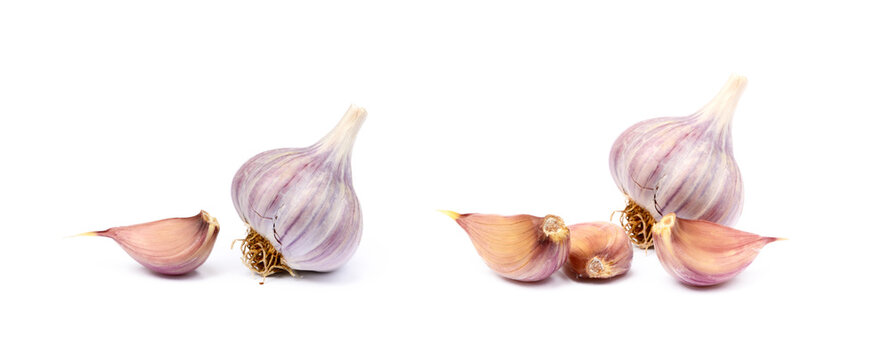 Healthy fresh garlic isolated on white background
