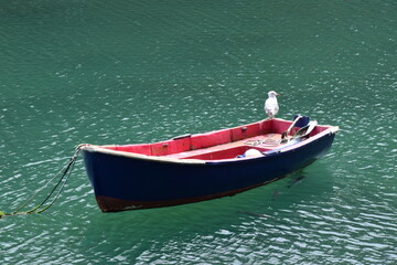 Naklejka na ściany i meble Rot-schwarzes Ruderboot mit Möwe auf grünem Wasser