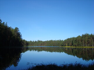 Fototapeta na wymiar Lake in the distant forest