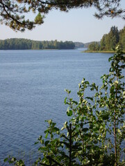 View of the lake in the wild forest.