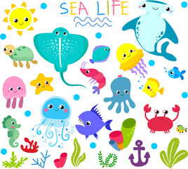 pattern with sea animals	