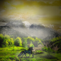 horses running into the endless valley