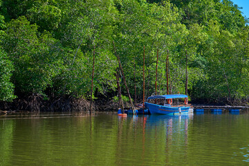 Boat river pier on tropical island Langkawi