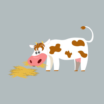 A cow on a farm eating hay.Cow. White cheerful , paper cut out,ladybird with red spots. Picture for children.