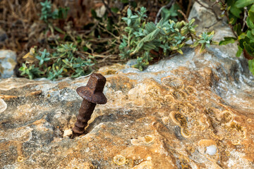 Rusty old bolt screwed into stone