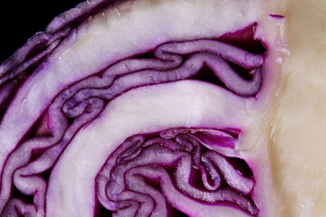 Obraz premium close-up red cabbage texture background