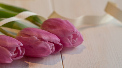 Tulips on wooden background with copy space. Spring flowers of tulips. Holiday greeting for Mothers day, Easter, Womans day. Pink and warm white gentle colour baby pink flower border