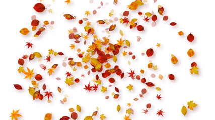 Colorful Sparkling Autumn Leave 3D illustrations.