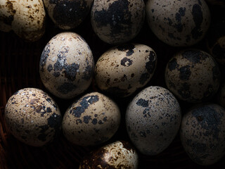 Obraz premium Quail eggs close up top view