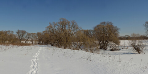 Spring walk in the floodplain of the Desna River, a beautiful panorama.