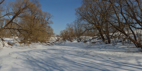 Spring walk in the floodplain of the Desna River, a beautiful panorama.