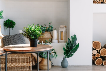 Interior of bright living room in scandinavian style with coffee table and plants.
