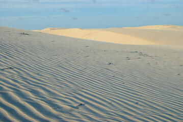 Lencois Maranhenses National Park, Maranhao, Brazil on October 19, 2007. Dunes illuminated by the late afternoon sun, highlighting the texture of the sand.