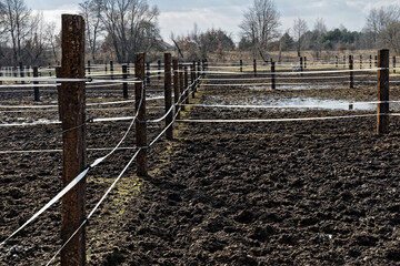 Muddy empty animal pasture paddock areas with paddles. Early spring in Poland, Europe. Countryside. - obrazy, fototapety, plakaty