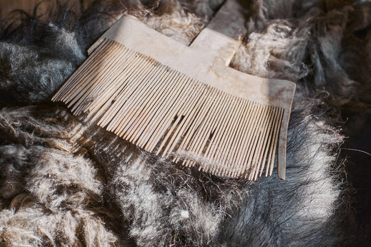 Sheep wool with a vintage wooden tool for cobing sheep wool. Handmade manufacturing concept