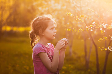A girl walks in spring garden with blooming cherry trees in warm golden sunset light.