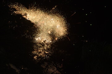 Fuegos artificiales