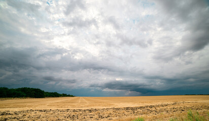 Fototapeta na wymiar storm clouds over a wheat field, a tornado is visible in the distance