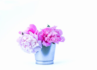 Fototapeta na wymiar Beautiful bouquet of the fresh pink peony flowers on white background.