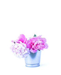 Beautiful bouquet of the fresh pink peony flowers on white background.