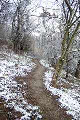 snow-covered park path in spring.