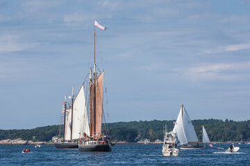 USA, Massachusetts, Cape Ann, Gloucester. Gloucester Schooner Festival, schooner parade of sail.