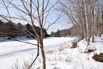 Winter in Mont-Tremblant provincial park, Quebec 