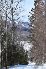 Winter in Mont-Tremblant provincial park, Quebec 