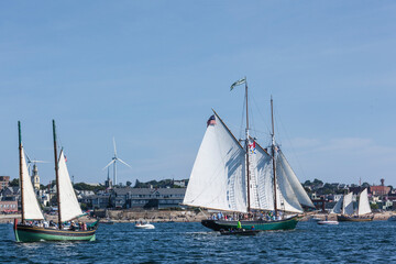 USA, Massachusetts, Cape Ann, Gloucester. Gloucester Schooner Festival, schooner parade of sail.