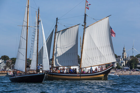 USA, Massachusetts, Cape Ann, Gloucester. Gloucester Schooner Festival, schooner parade of sail.