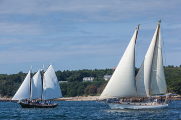Fototapeta premium USA, Massachusetts, Cape Ann, Gloucester. Gloucester Schooner Festival, schooner parade of sail.