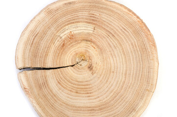 Naklejka premium Wooden saw cut of a tree silt with a pronounced pattern of annual rings on a white background