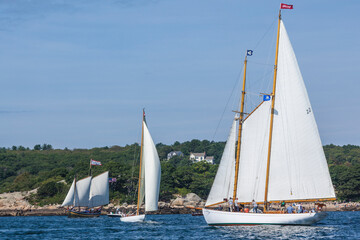 USA, Massachusetts, Cape Ann, Gloucester. Gloucester Schooner Festival, schooner parade of sail.