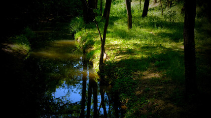 La rivière
