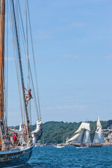 USA, Massachusetts, Cape Ann, Gloucester. Gloucester Schooner Festival, schooner parade of sail.