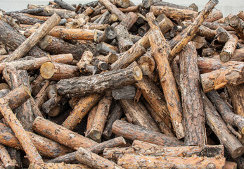 firewood for winter. burned for the heating of houses and poultry farms.