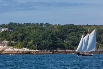 Fototapeta premium USA, Massachusetts, Cape Ann, Gloucester. Gloucester Schooner Festival, schooner parade of sail.