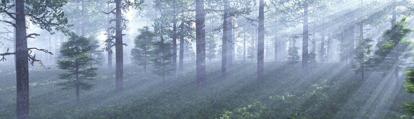 Morning in the forest, park in the fog, sun rays in the trees, 3D rendering