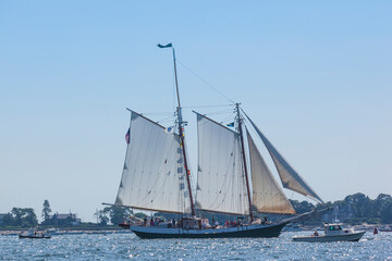 USA, Massachusetts, Cape Ann, Gloucester. Gloucester Schooner Festival, schooner parade of sail.