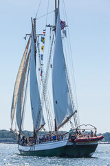 USA, Massachusetts, Cape Ann, Gloucester. Gloucester Schooner Festival, schooner parade of sail.