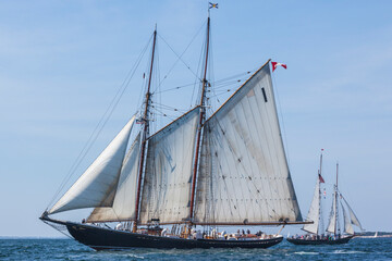 USA, Massachusetts, Cape Ann, Gloucester. Gloucester Schooner Festival, schooner parade of sail.