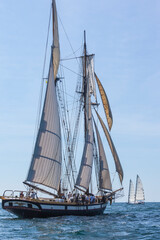 USA, Massachusetts, Cape Ann, Gloucester. Gloucester Schooner Festival, schooner parade of sail.