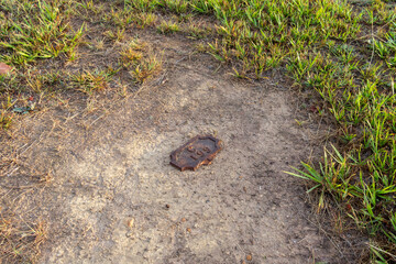 Grave marker on ground at cemetery