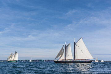 USA, Massachusetts, Cape Ann, Gloucester. Gloucester Schooner Festival, schooner parade of sail.