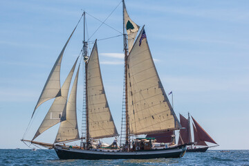 USA, Massachusetts, Cape Ann, Gloucester. Gloucester Schooner Festival, schooner parade of sail.