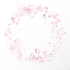 Fototapeta na wymiar Cherry Sakura Blossom Confetti. Flying Japanese Sakura Rose Cherry