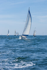 Fototapeta premium USA, Massachusetts, Cape Ann, Gloucester. Gloucester Schooner Festival, schooner parade of sail.