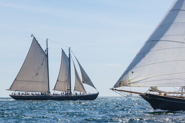Fototapeta premium USA, Massachusetts, Cape Ann, Gloucester. Gloucester Schooner Festival, schooner parade of sail.