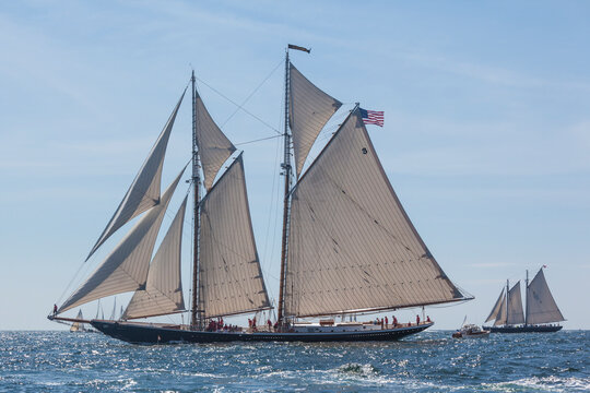 USA, Massachusetts, Cape Ann, Gloucester. Gloucester Schooner Festival, schooner parade of sail.